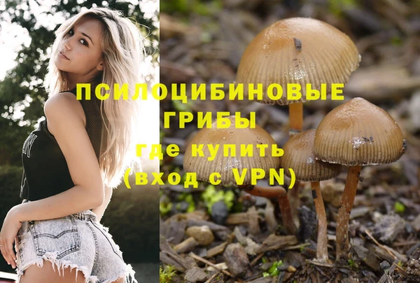 амфетамин Алексин