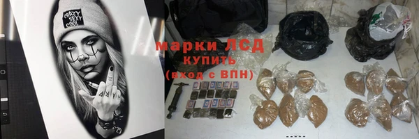 дурь Алзамай