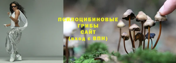 амфетамин Алексин