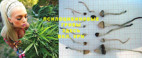 дурь Алзамай