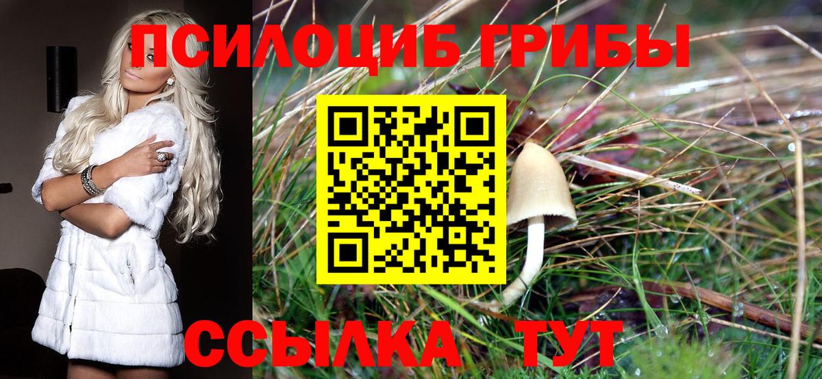 Галлюциногенные грибы Psilocybine cubensis  Вход с VPN  Псилоцибиновые грибы Magic Shrooms  Ефремов 