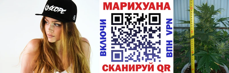 МАРИХУАНА планчик  Ефремов 